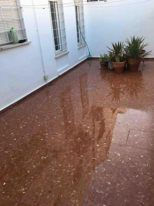 Casa Soleada En Calle Tranquila Séville Extérieur photo