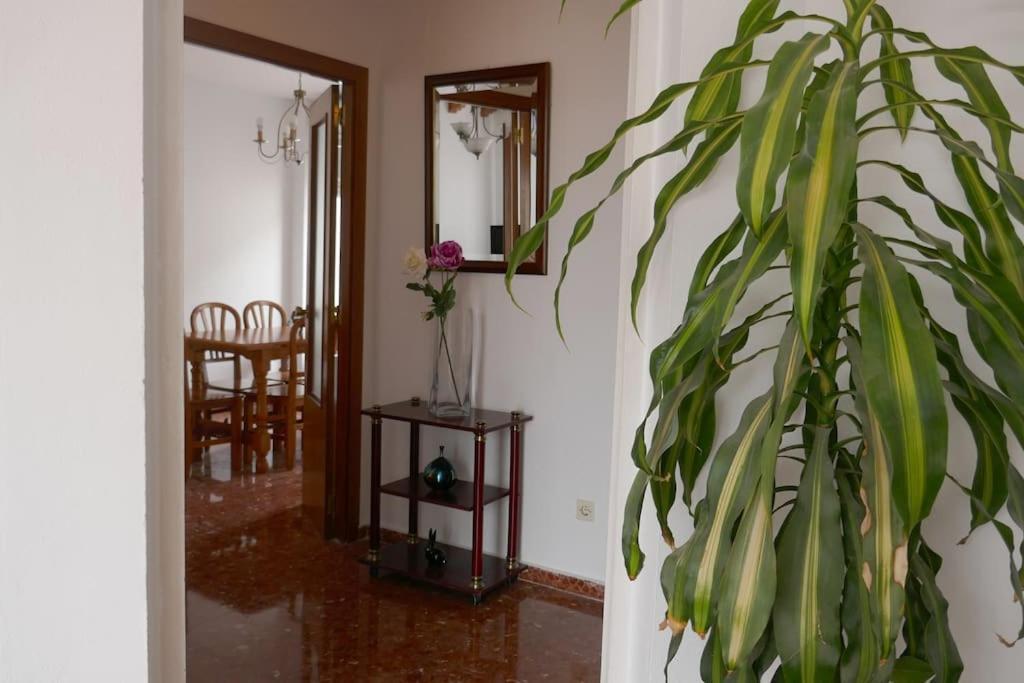 Casa Soleada En Calle Tranquila Séville Extérieur photo